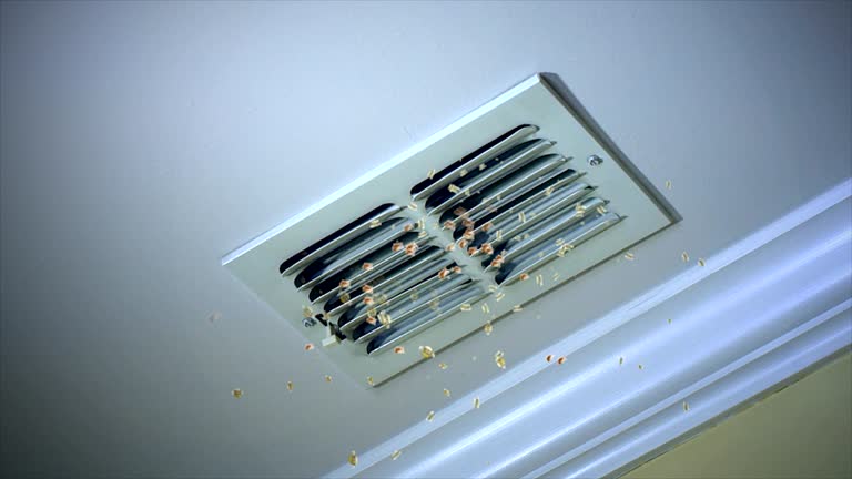 Professional Airduct Cleaning in Satellite Beach, FL